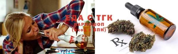 дживик Бородино
