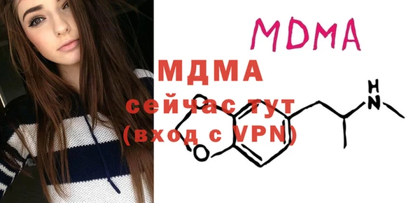 дживик Бородино