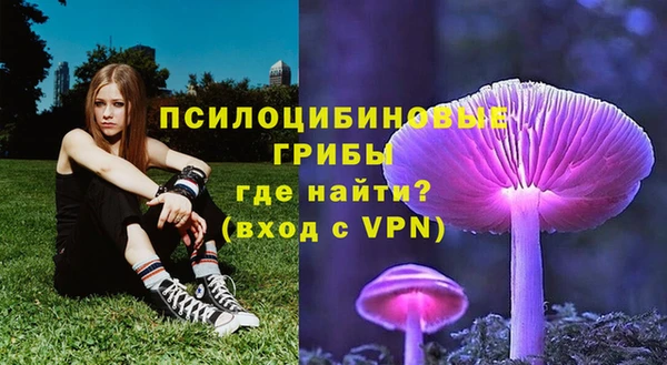 дживик Бородино