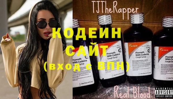 дживик Бородино