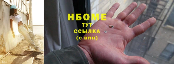 дживик Бородино