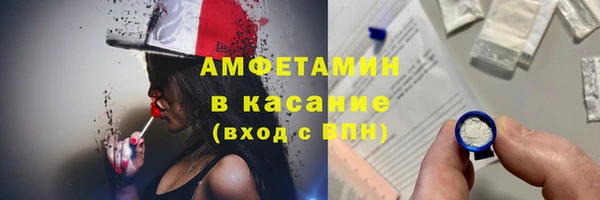 дживик Бородино