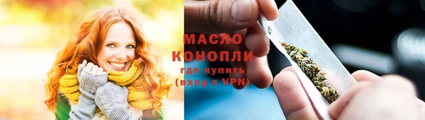 дживик Бородино