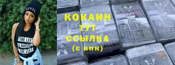 дживик Бородино