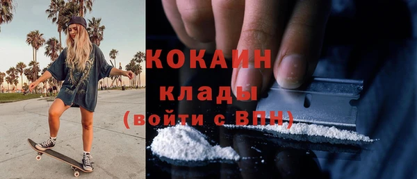 дживик Бородино
