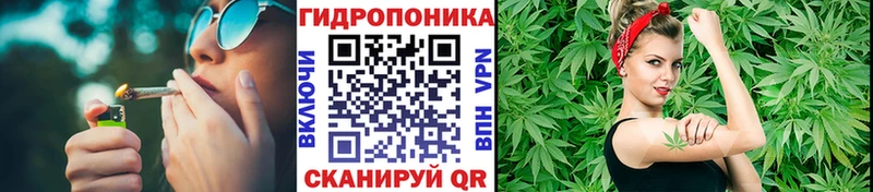 Бошки марихуана конопля  Яхрома 